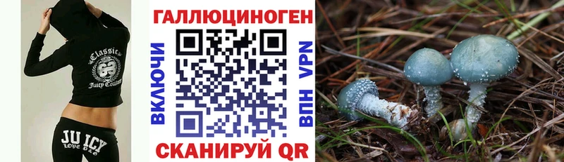 KRAKEN зеркало  купить  цена  Уссурийск  Галлюциногенные грибы Psilocybine cubensis 
