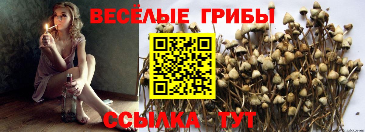 Псилоцибиновые грибы GOLDEN TEACHER  Вход с VPN  Псилоцибиновые грибы MAGIC MUSHROOMS  даркнет сайт  Уссурийск 